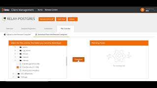 BMC Client Management 129 – Managing devices by using the web console [upl. by Mathis]