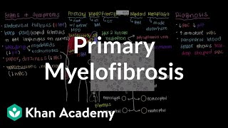 Essential Thrombocythemia and Myelofibrosis  WBC disorders  Usmle Hematology speedymedicalusmle [upl. by Assen]