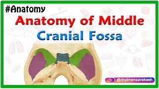 Anatomy of Middle cranial Fossa [upl. by Nwahc]