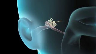 Hearing Protection How to Use PreMolded Earplugs [upl. by Inoliel]