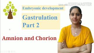 Extraembryonic membrane  Amnion Chorion Allantois and Yolk sac  Gastrulation part 2 [upl. by Ettenawtna]