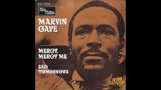 Marvin Gaye  Mercy Mercy Me FUTUR Sample EDIT 1 Hour [upl. by Aretse375]