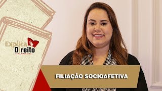 Explica Direito Filiação Socioafetiva  2019 [upl. by Jac]