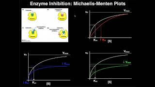 Enzyme Inhibitors  Mechanisms MichaelisMenten Plots amp Effects [upl. by Nalahs203]