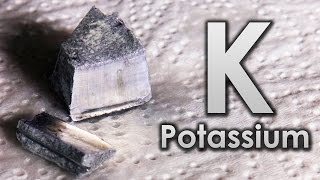 Potassium  The Active ALKALI METAL [upl. by Acinomahs]