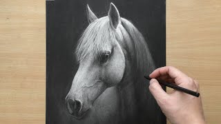 Charcoal Drawing of a White Horse [upl. by Ecirtnahs]