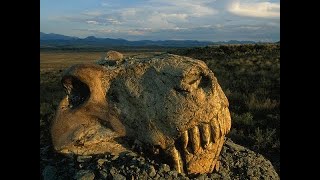 Fireball Earth The Permian Extinction  History Documentary ✔ [upl. by Nomrej455]