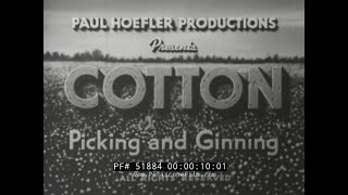 COTTON PICKING amp GINNING 1940s COTTON INDUSTRY EDUCATIONAL FILM 51884 [upl. by Seem654]