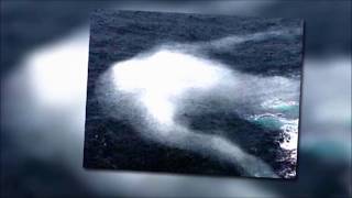 The NINGEN Giant humanoid creature Sighted in the Antarctic Ocean Real or fake [upl. by Theodosia29]