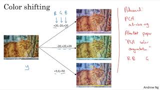 C4W2L10 Data Augmentation [upl. by Alletneuq]