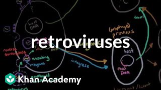 Retroviruses  Cells  MCAT  Khan Academy [upl. by Garrek]