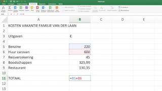 Het totaal berekenen in Excel [upl. by Nolaf]