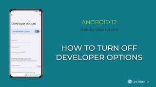 How to Turn Off Developer options Android 12 [upl. by Fischer]