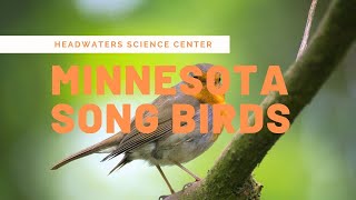 Minnesota Bird Calls [upl. by Esiled]