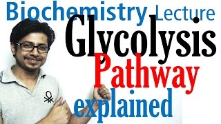 Glycolysis biochemistry [upl. by Doughman]