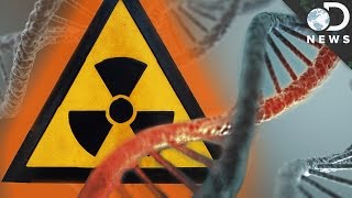 How Radiation Changes Your DNA [upl. by Ladnik]