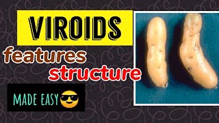 Viroids features structure [upl. by Oiramej269]