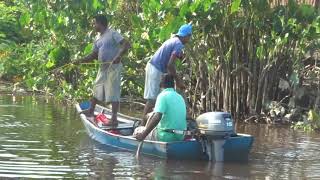 Demerara River Linden Fishing [upl. by Luzader950]