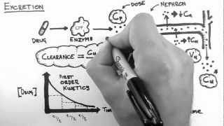 Pharmacokinetics 5  Excretion [upl. by Hsetih171]