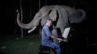 Beethoven “Moonlight Sonata” for Old Elephant [upl. by Sayed]