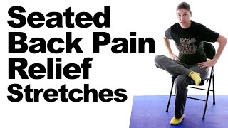 Seated Back Pain Relief Stretches [upl. by Anaud]