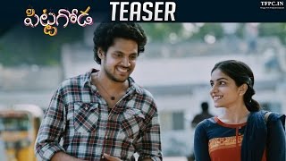 Pittagoda Teaser  Official  Vishwadev Rachakonda  Punarnavi Bhupalam  TFPC [upl. by Alverson]