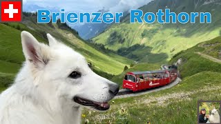 Brienzer Rothorn train ride  mountain hotel [upl. by Enoj859]