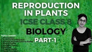 Reproduction in Plants 🌱  ICSE CLASS 8 Biology  Part  1 [upl. by Othello499]