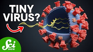 The Smallest Pathogen on Earth Viroids Explained [upl. by Hanikahs190]