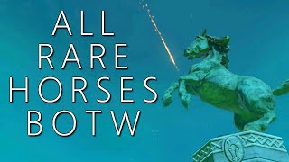 All Rare Horses amp Where to Find Them BOTW [upl. by Nnylaj]