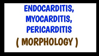 Echocardiography with a Significant Pericardial Effusion [upl. by Adiasteb]