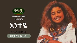 Birtukan Dubale  Anteye  ብርቱካን ዱባለ  አንተዬ  Ethiopian Music [upl. by Naerol]