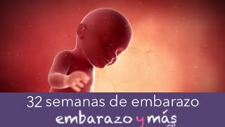 32 semanas de embarazo  Octavo mes  EMBARAZOYMAS [upl. by Sidoney110]