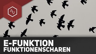 Funktionsscharen bei eFunktionen [upl. by Olinad626]