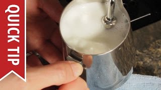 How to AutoFroth Milk for Lattes [upl. by Nidla]