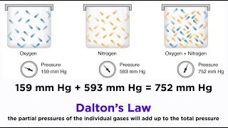 Daltons Law and Partial Pressures [upl. by Joyan]