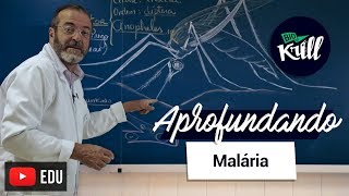 Aprofundando  Malária [upl. by Shevlo275]