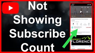 YouTube Subscriber Count Not Showing  FIX [upl. by Alleram6]