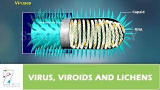 VIRUS VIROIDS and LICHENS [upl. by Alleynad]