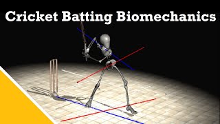 Cricket Batting Biomechanics  Dr Stuart McErlainNaylor [upl. by Naed]