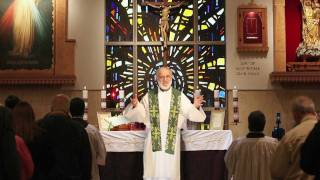 Sacraments 101 Holy Orders what ordination means [upl. by Dranrev]