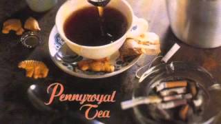 Nirvana  Pennyroyal Tea single Full [upl. by Adnovay]