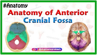 Anatomy of Anterior cranial Fossa [upl. by Teriann]