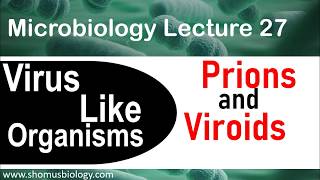 Prions and viroids [upl. by Damon]