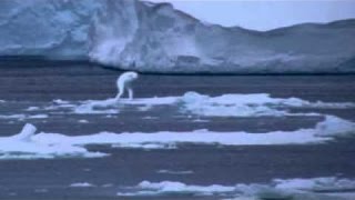 Whale Researchers Observe Ningen Sea Monster In Icy Antartica [upl. by Weiser]