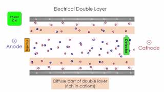 Capillary Electrophoresis [upl. by Einaled781]