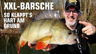 Barschangeln  so fängst du XXL Barsche mit Gummifischen [upl. by Kliment870]